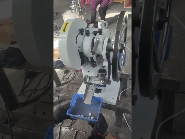 TDP 5 25HL 002 testing video for diameter16mm round tablet #machine