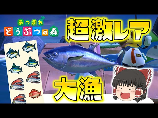 【あつ森】超激レア島！？大物高級魚を大量ゲット！！ゆっくり達のあつまれどうぶつの森 part8