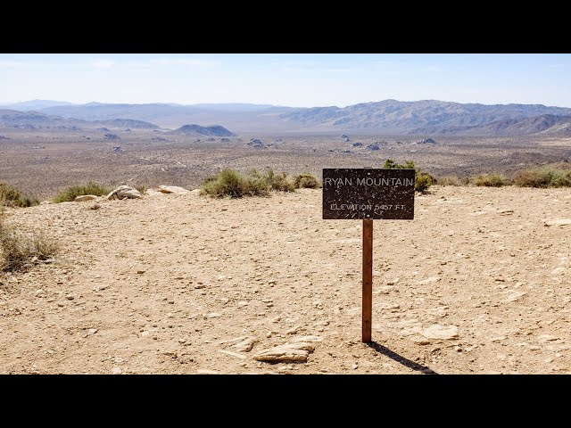 HIKE TO THE TALLEST PEAK IN JOSHUA TREE - Ryan Mountain - Joshua Tree National Park - Full Hike