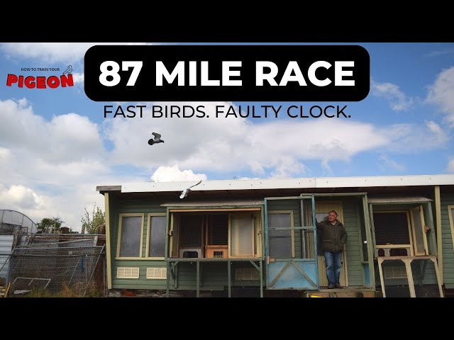 Hard 87 Mile Race into a Headwind HTTYP Ep17