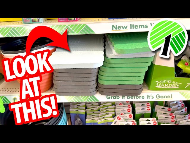 Use *WEIRD* items from Dollar Tree for these genius DIY HACKS & ideas!