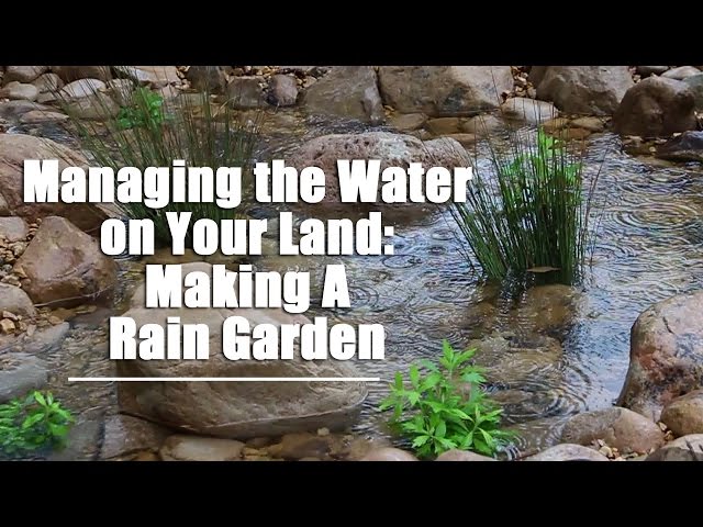 Managing the Water on Your Land- Making A Rain Garden