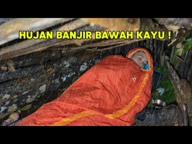 Solo Camping dibawah pohon tumbang dalam Hutan [ Banjir, Hujan deras, Horor ]