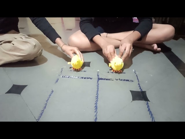 Chicken Race Game by Shreeya and Shreenidhi part 2