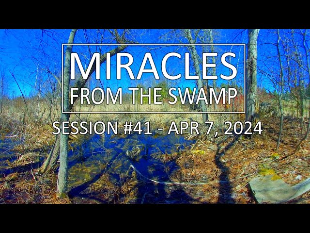 Miracles From The Swamp : Session #41 - April 7, 2024 at 12:33 PM | Virtual Reality / VR180