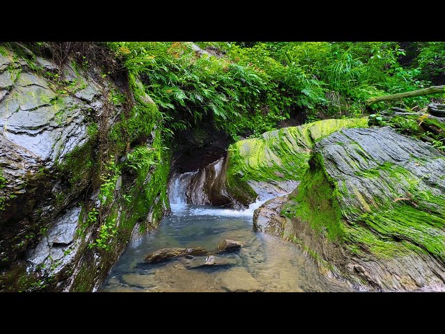 Relaxing Waterfall Nature Sounds, White Noise for Sleep, Meditation, Stress Buster, ASMR