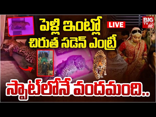 Leopard in Lucknow Marriage Hall LIVE: పెళ్లి ఇంట్లో చిరుత | Leopard Hulchul In Uttar Pradesh