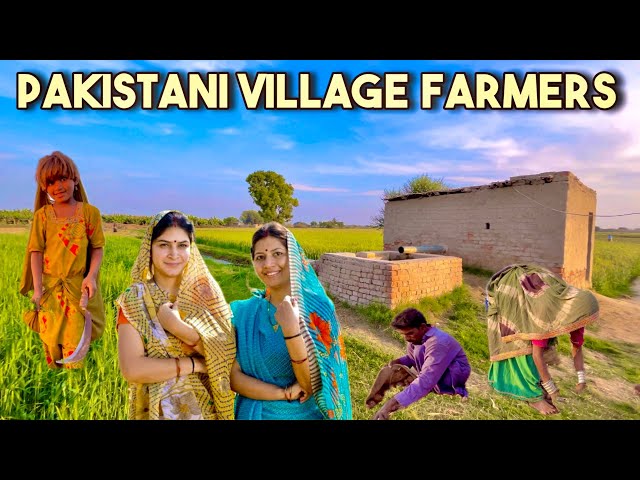 Unseen Desert Beautiful Village Life in Pakistan |Beautiful Old Culture of Sindh Pakistan