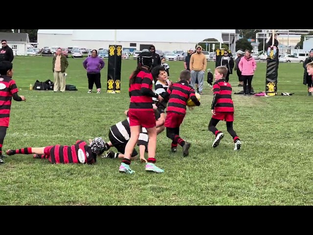 Year 5 Pōneke Sharks vs Ories Magpies - 22.6.24