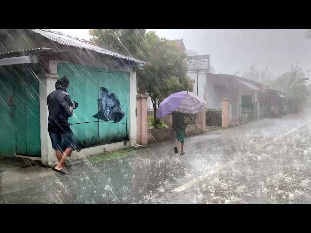 Rain and Big Wind Thunderstorm sounds for sleeping in village Red soil | Relaxing Rain Sounds