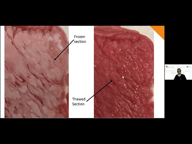 Mass production of 3D printed alternative meats