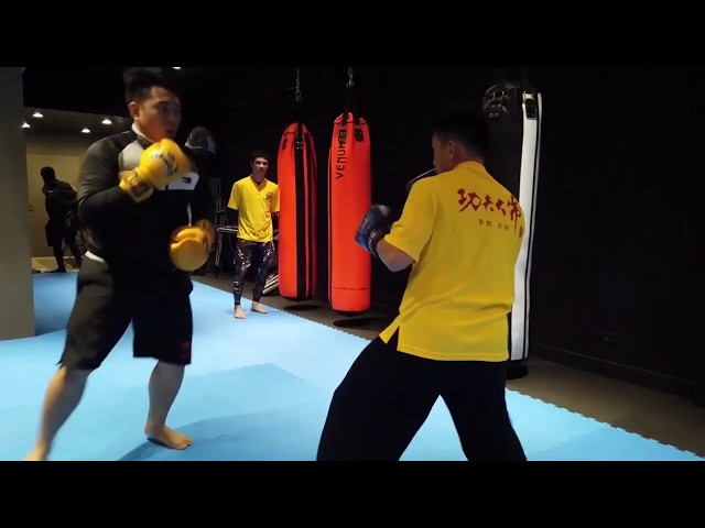 Qi La La Wing Chun And Kungfu Friend Spar Boxer