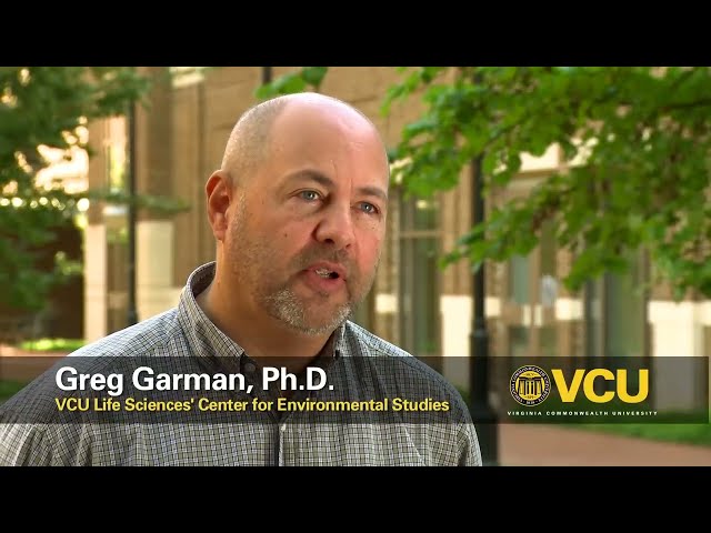 VCU Sturgeon Research Study