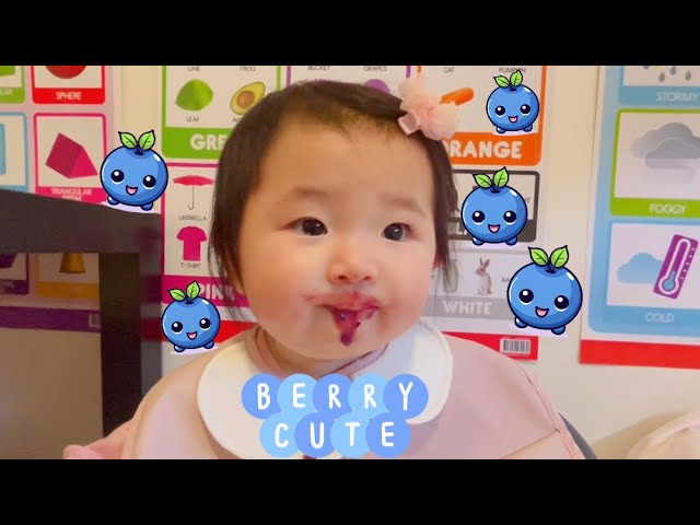 Tiny tastes: #babyvalerie tries blueberry purée 8m+ #hungrybaby cute eating moment yum! Berry cute!