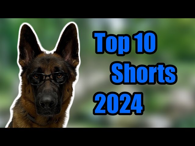 KODAS Top 10 Most Jaw-Dropping Shorts of 2024!