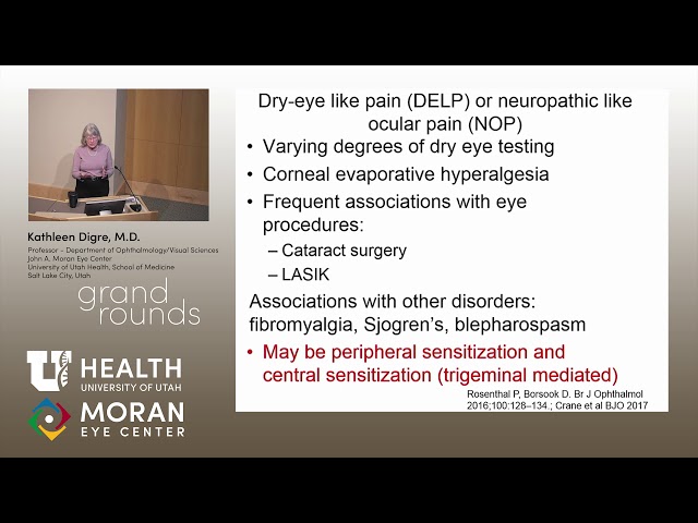 More Than Meets the Eye: The Eye and Migraine for Ophthalmologists