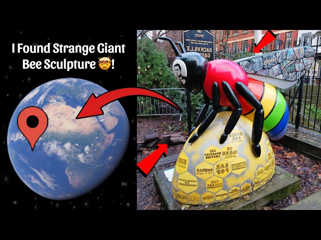 🐝 I Found Very Strange Giant Bee Caught On Google Earth and Google Maps 😱!