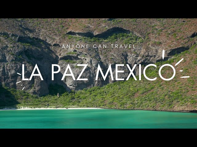 Skip Los Cabos! Do these 5 things in La Paz Mexico instead!