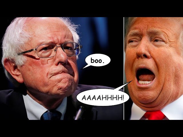 Bernie Sanders: I Would Have Defeated Trump in 2016—I Can Beat Him in 2020