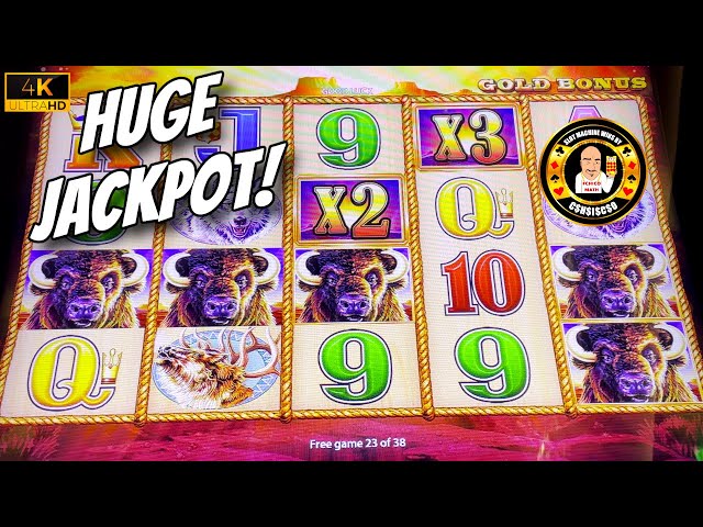 43 spins pays HUGE JACKPOT on Buffalo Gold