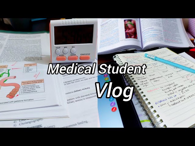 Mini study vlog// Bangladeshi medical student