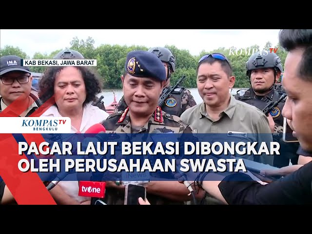 Pagar Laut Bekasi Dibongkar Oleh Perusahaan Swasta, Begini Kata Pengacara dan KKP