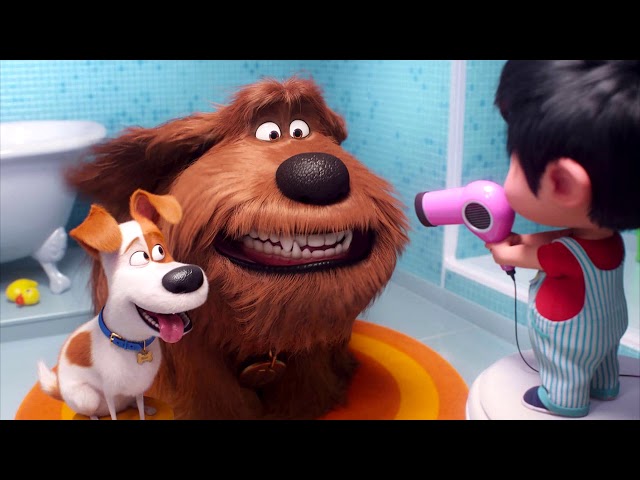 The Secret Life Of Pets 2 - Review