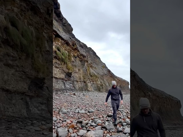 We came across multiple golden rocks on a recent beach walk! We opened the stones up to reveal… 😱