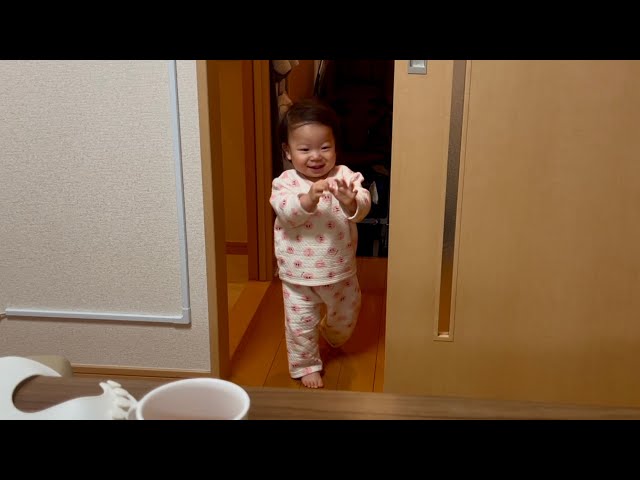 🌈Mugi Goes In and Out of the Room! Dad Gets Stuck in the Door🤣 (1y5m0d No.5)