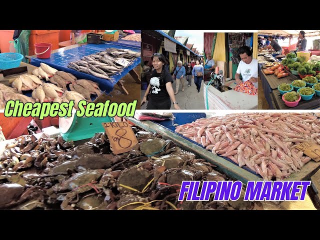 Filipino Market Kota Kinabalu/Cheap Seafoods🦀🦐🦑🐟//Anjung Kinabalu//Land Below The Wind