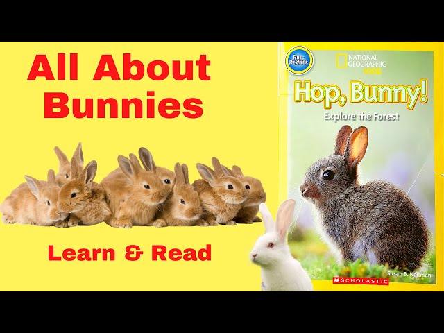 Bunny Rabbit facts! All about Bunnies! Interesting Facts about bunnies for KIDS. Hop, Bunny!