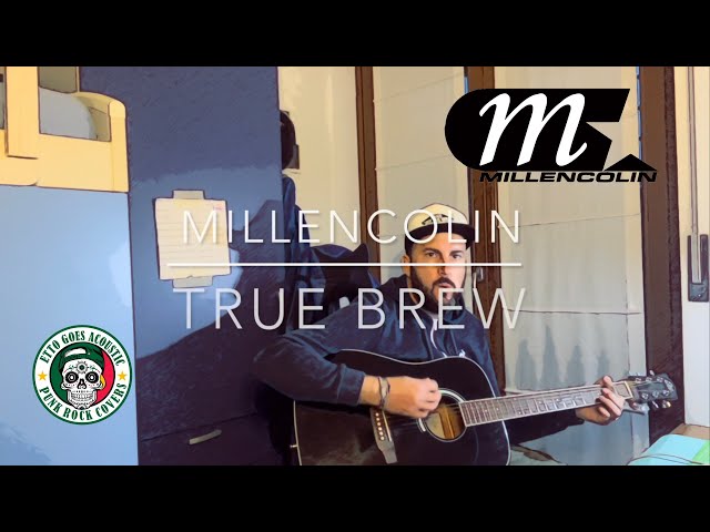 MILLENCOLIN - True Brew (acoustic cover) #millencolin