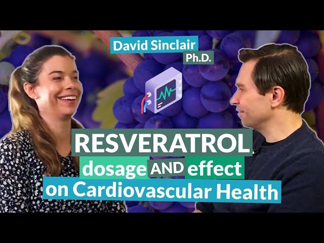 Resveratrol: dosage and effect on cardiovascular health | David Sinclair