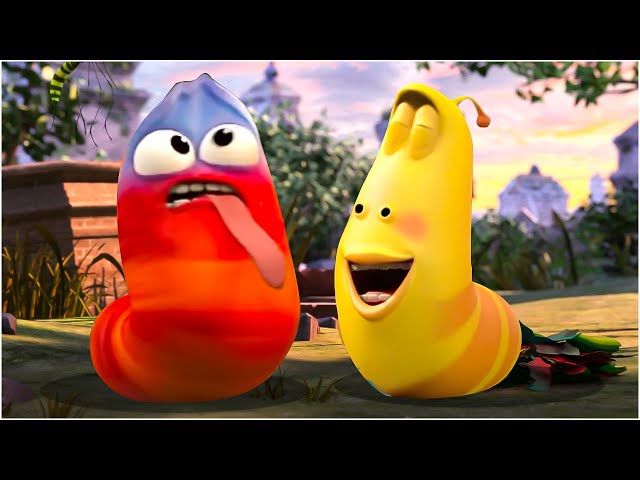 LARVA: YELLOW & BLACK – Chaos & Laughter Unleashed! | SMTOON 2025