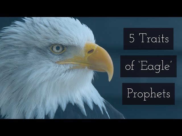 5 Traits of "Eagle' Prophets | Don't be a 'Vulture' Prophet