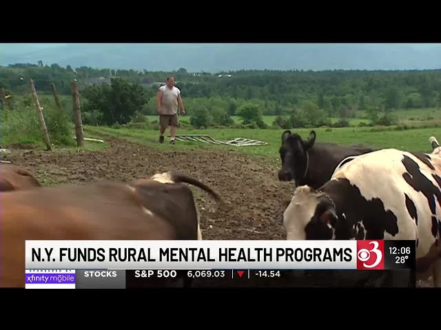 New York funds rural mental health programs