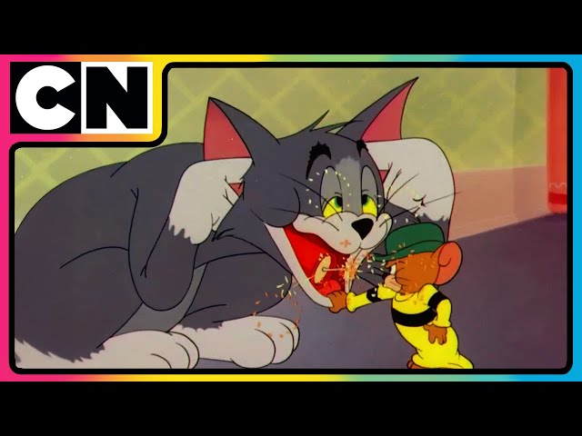 Tom & Jerry 😺🐭| Airborne Chaos with Nibbles & Jerry! 🚀| Compilation | Cat and Mouse | @cnindia