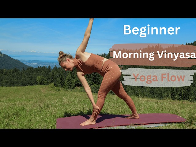 Easy 20 Minute VINYASA Yoga Flow for Beginners