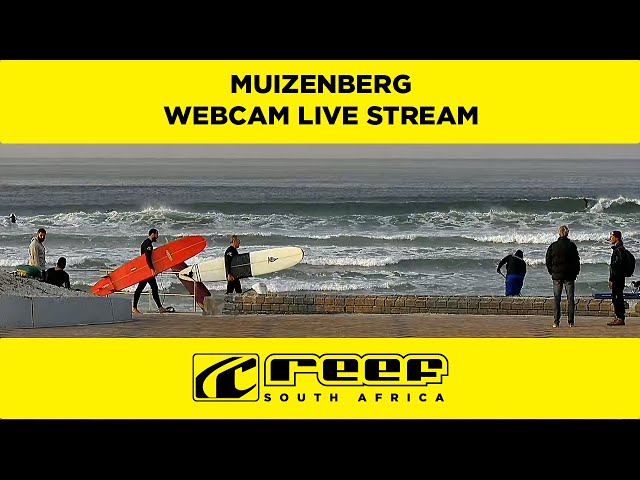 Muizenberg Webcam Live - REEF