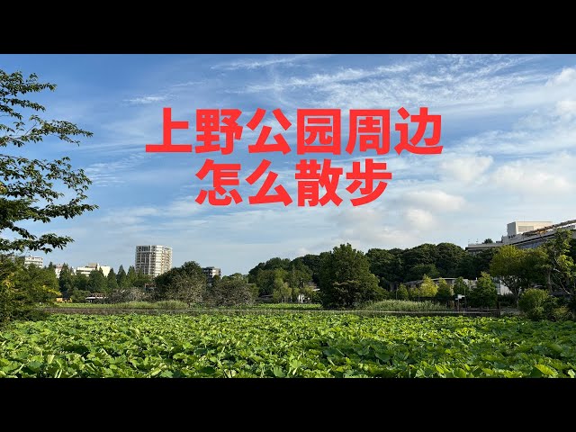 东京找乐子 | 上野公园散步