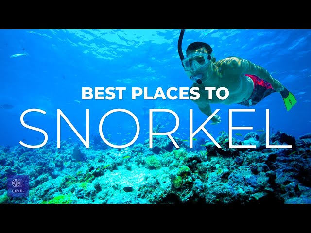 Best Places to Snorkel | You MUST EXPLORE These Best Snorkeling Spots in the World