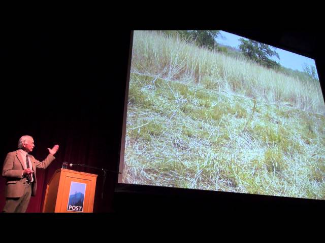 Allan Savory: How Holistic Management Works