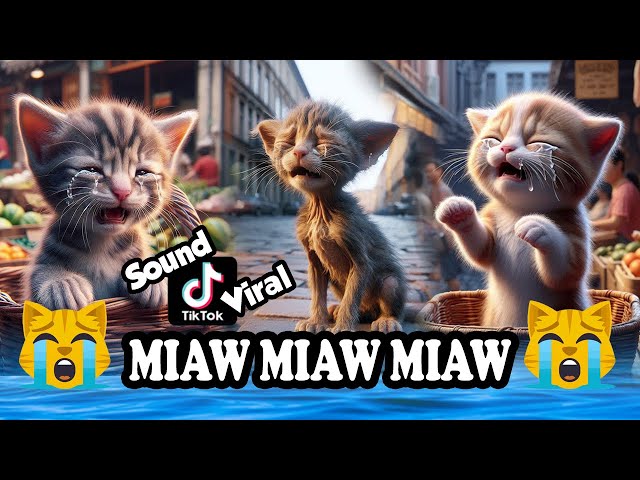 Miaw miaw miaw miaw Song sad story of a cat at market FULL..😭 #cat #aicat #catlover #cats