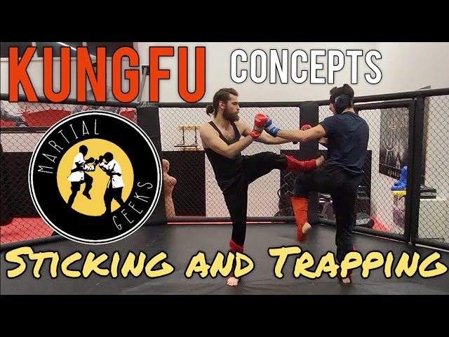 Sticking and Trapping in Sparring | Kung Fu moments #kungfu #martialarts #combatsport #mma #fighting