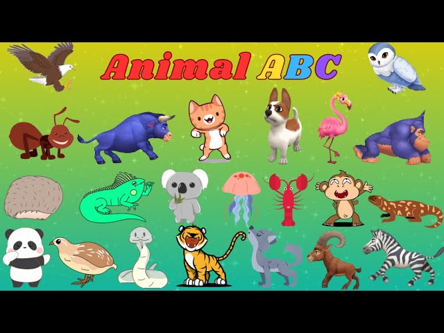 ABC Animals Song A9Th125 | Alphabet Animals | Kids TV