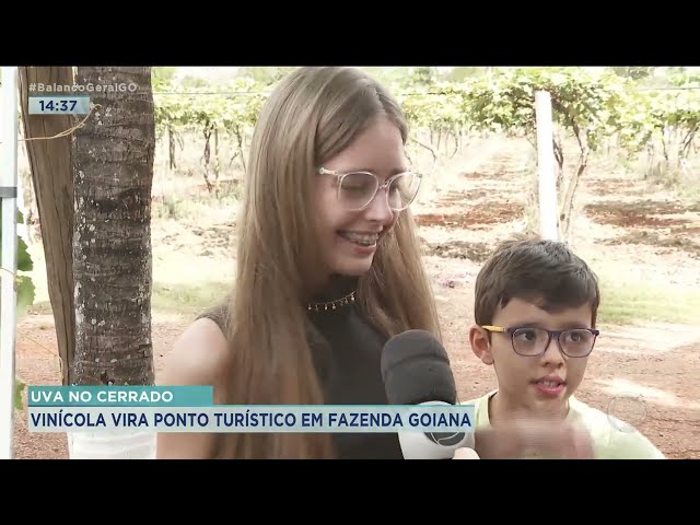 UVA NO CERRADO: VINÍCOLA VIRA PONTO TURÍSTICO EM FAZENDA GOIANA