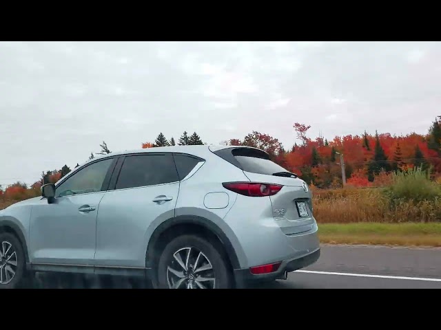 Traveling by car from Montreal to Quebec in autumn. Amazing red leaves view