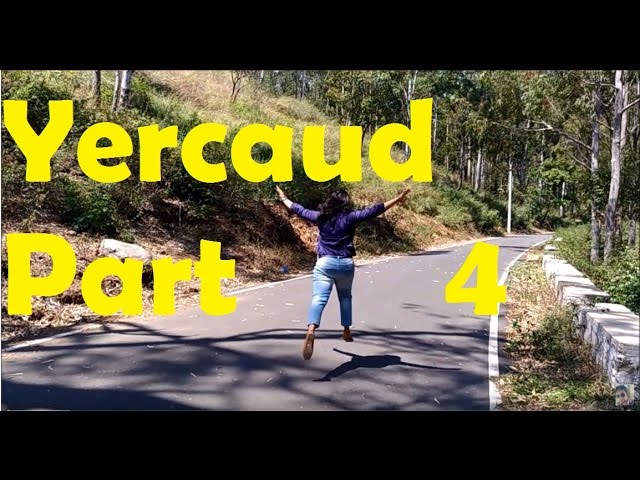 Bangalore to Yercaud Road Trip on Tiago Part -4