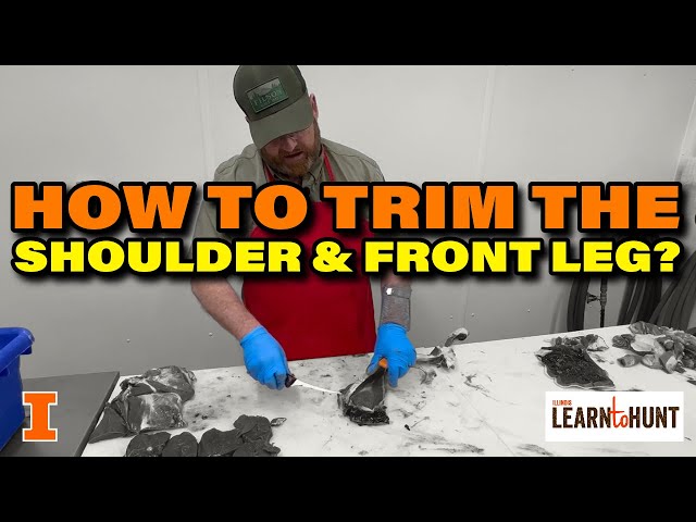 #9: How to Trim a Deer Shoulder and Front Leg?