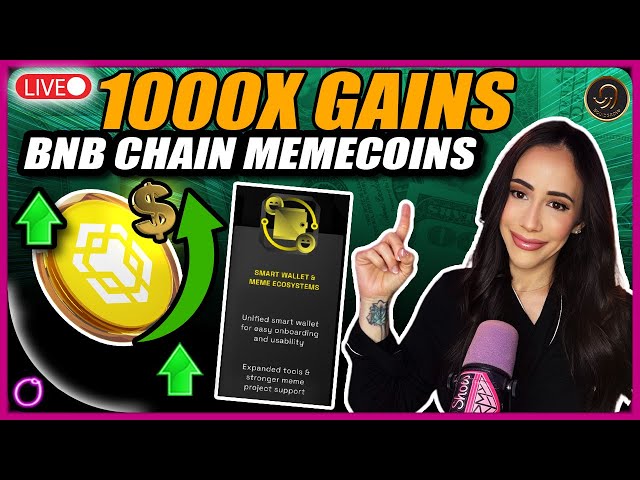 1000X CRYPTO GAINS?! BNB Chain Memecoin Season Is HERE!